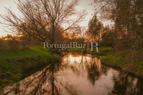 Farm i Nisa, Portalegre, Nisa - € 750.000 | Ref: FG1177 - foto 49