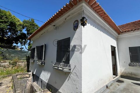 Villa i Caminha, Viana do Castelo, Caminha - € 185.000 | Ref: 661541002 - foto 19