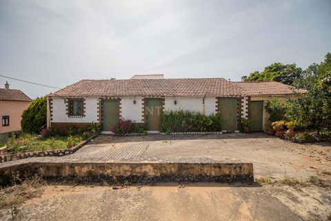 Villa a Soure, Coimbra, Soure - € 99.500 | Ref: C0372-01850 - foto 3