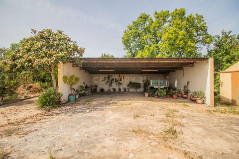 Villa a Soure, Coimbra, Soure - € 99.500 | Ref: C0372-01850 - foto 6
