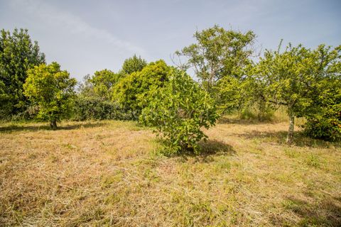 Villa a Soure, Coimbra, Soure - € 99.500 | Ref: C0372-01850 - foto 9