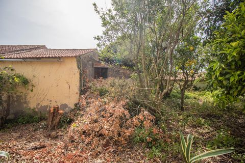 Villa a Soure, Coimbra, Soure - € 99.500 | Ref: C0372-01850 - foto 25