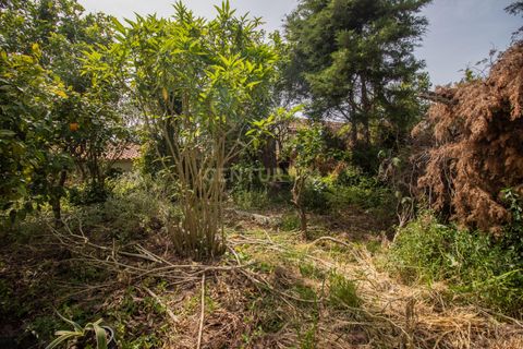 Villa a Soure, Coimbra, Soure - € 99.500 | Ref: C0372-01850 - foto 28