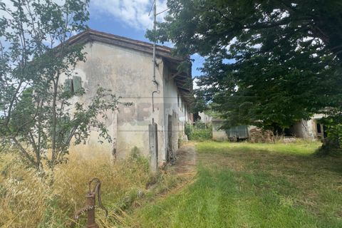 Villa i Visco, Udine, Visco - € 42.000 | Ref: D-1209 - foto 5