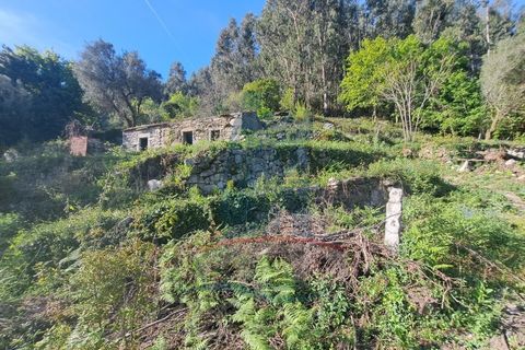 Villa i Arcos de Valdevez, Viana do Castelo, Arcos de Valdevez - € 47.000 | Ref: TL055 - foto 7