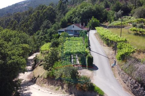 Villa i Ponte de Lima, Viana do Castelo, Ponte de Lima - € 225.000 | Ref: 5943 - foto 2