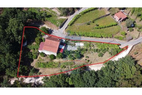 Villa i Ponte de Lima, Viana do Castelo, Ponte de Lima - € 225.000 | Ref: 5943 - foto 3