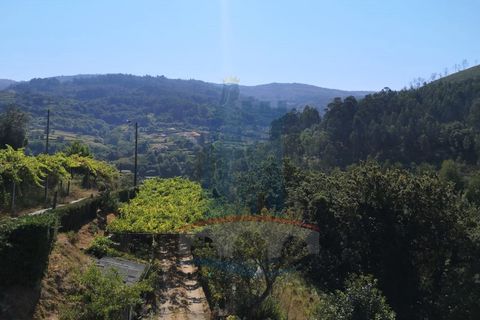 Villa i Ponte de Lima, Viana do Castelo, Ponte de Lima - € 225.000 | Ref: 5943 - foto 4