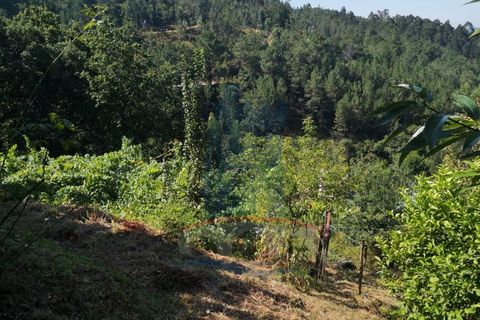 Villa i Ponte de Lima, Viana do Castelo, Ponte de Lima - € 225.000 | Ref: 5943 - foto 5