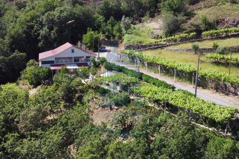 Villa i Ponte de Lima, Viana do Castelo, Ponte de Lima - € 225.000 | Ref: 5943 - foto 15