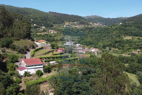 Villa i Ponte de Lima, Viana do Castelo, Ponte de Lima - € 225.000 | Ref: 5943 - foto 16