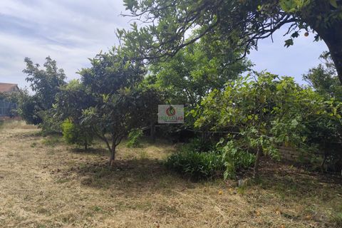 Villa a Vagos, Aveiro, Vagos - € 165.000 | Ref: 4112 - foto 31