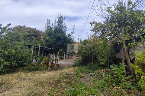 Villa a Vagos, Aveiro, Vagos - € 165.000 | Ref: 4112 - foto 33