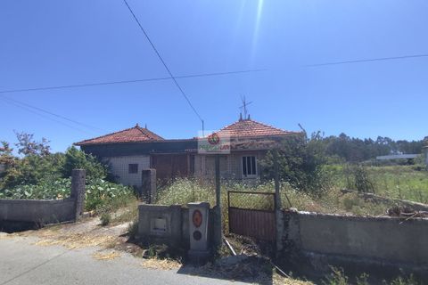 Villa i Oliveira do Bairro, Aveiro, Oliveira do Bairro - € 96.000 | Ref: 4113 - foto 2