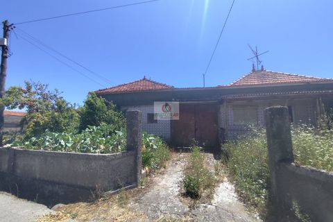 Villa i Oliveira do Bairro, Aveiro, Oliveira do Bairro - € 96.000 | Ref: 4113 - foto 3