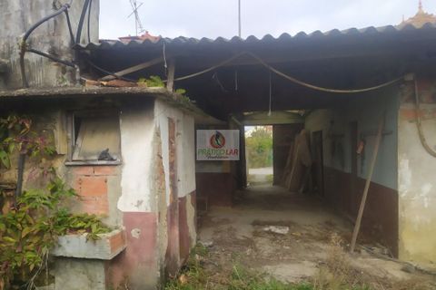 Villa i Oliveira do Bairro, Aveiro, Oliveira do Bairro - € 96.000 | Ref: 4113 - foto 4
