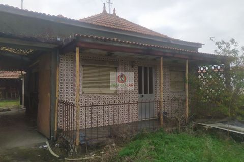 Villa i Oliveira do Bairro, Aveiro, Oliveira do Bairro - € 96.000 | Ref: 4113 - foto 6