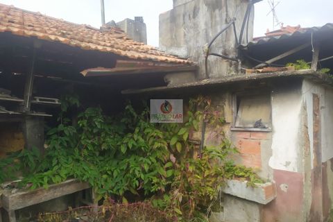 Villa i Oliveira do Bairro, Aveiro, Oliveira do Bairro - € 96.000 | Ref: 4113 - foto 32