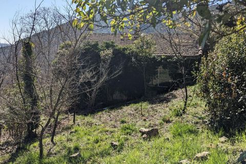 Villa a Bargemon, Var, Bargemon - € 150.000 | Ref: getkey_u_533972747 - foto 3