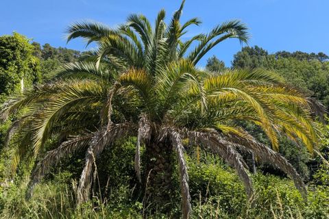 Villa a Bargemon, Var, Bargemon - € 150.000 | Ref: getkey_u_533972747 - foto 5