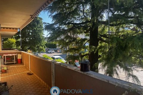 Lejlighed i Rubano, Padua, Rubano - € 195.000 | Ref: M2216 - foto 24