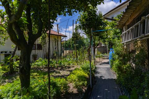 Byhus i Vieira do Minho, Braga, Vieira do Minho - € 449.000 | Ref: 212197 - foto 34