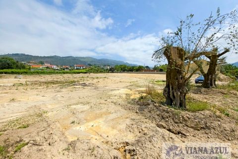 Helårsgrund i Ponte de Lima, Viana do Castelo, Ponte de Lima - € 90.000 | Ref: 2281 - foto 5