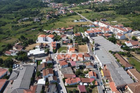 Villa i Ansiao, Leiria, Ansiao - € 250.000 | Ref: 385/M/01060 - foto 23