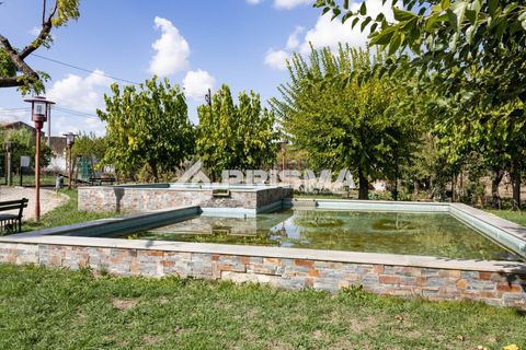 Rækkehus i Castelo Branco, Castelo Branco, Castelo Branco - € 69.000 | Ref: PP4667 - foto 32