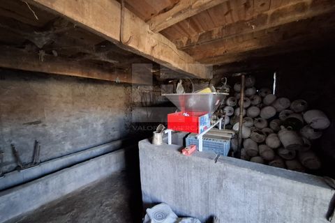 Villa a Santa Comba Dao, Viseu, Santa Comba Dao - € 45.000 | Ref: 4615 - foto 34