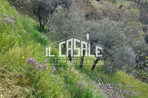 Villa i Reggello, Florence, Reggello - € 295.000 | Ref: 2138 - foto 26