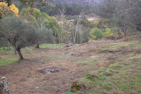 Ruïna a Possacos, Vila Real, Possacos - € 140.000 | Ref: AVV-007-021 - foto 4