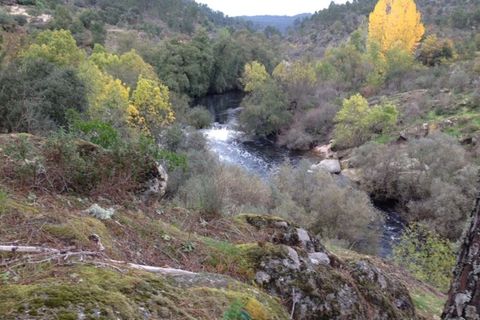 Ruïna a Possacos, Vila Real, Possacos - € 140.000 | Ref: AVV-007-021 - foto 7