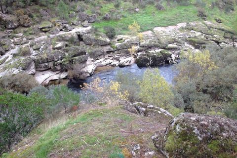Ruïna a Possacos, Vila Real, Possacos - € 140.000 | Ref: AVV-007-021 - foto 9