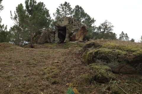 Ruïna a Possacos, Vila Real, Possacos - € 140.000 | Ref: AVV-007-021 - foto 11