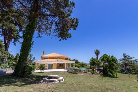 Villa a Sintra, Lisbon, Sintra - € 9.000/mes | Ref: MBC - 398 - foto 38