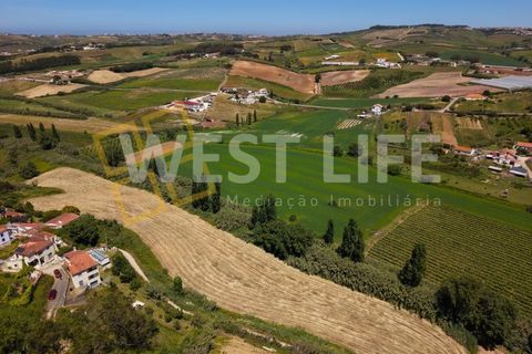 Helårsgrund i Mafra, Lisbon, Mafra - € 165.000 | Ref: 5745WE - foto 9