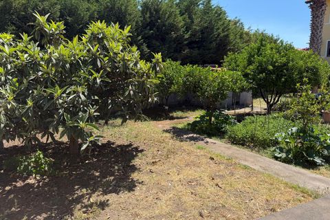 Villa i Mascalucia, Catania, Mascalucia - € 368.000 | Ref: 505/V - foto 25