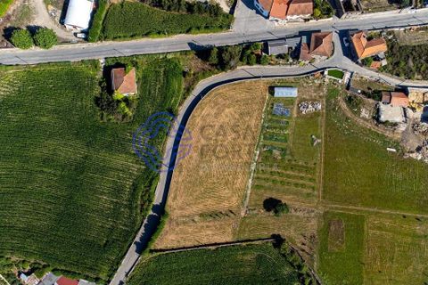 Helårsgrund i Vila do Conde, Porto, Vila do Conde - € 270.000 | Ref: 1131741 - foto 2