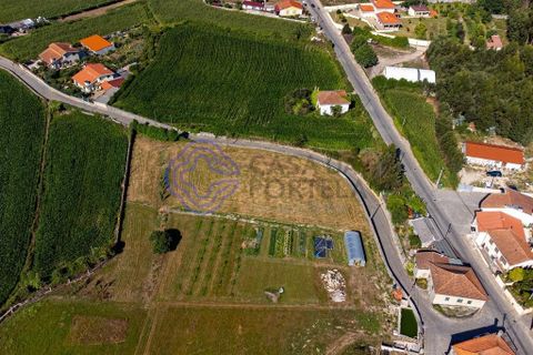Helårsgrund i Vila do Conde, Porto, Vila do Conde - € 270.000 | Ref: 1131741 - foto 3
