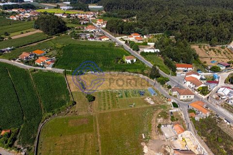 Helårsgrund i Vila do Conde, Porto, Vila do Conde - € 270.000 | Ref: 1131741 - foto 5