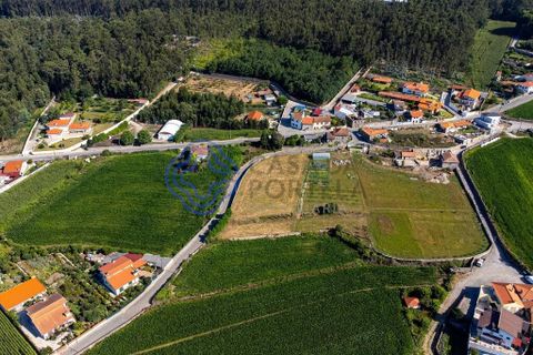 Helårsgrund i Vila do Conde, Porto, Vila do Conde - € 270.000 | Ref: 1131741 - foto 6
