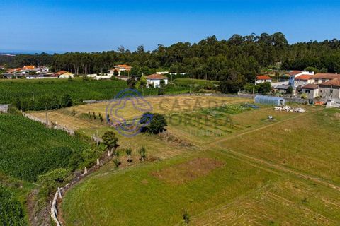 Helårsgrund i Vila do Conde, Porto, Vila do Conde - € 270.000 | Ref: 1131741 - foto 7