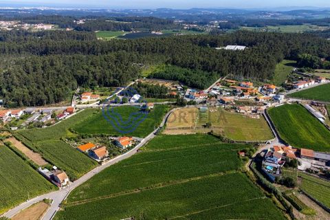 Helårsgrund i Vila do Conde, Porto, Vila do Conde - € 270.000 | Ref: 1131741 - foto 8