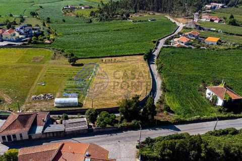 Helårsgrund i Vila do Conde, Porto, Vila do Conde - € 270.000 | Ref: 1131741 - foto 10