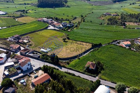 Helårsgrund i Vila do Conde, Porto, Vila do Conde - € 270.000 | Ref: 1131741 - foto 14