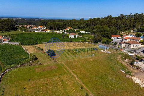 Helårsgrund i Vila do Conde, Porto, Vila do Conde - € 270.000 | Ref: 1131741 - foto 17