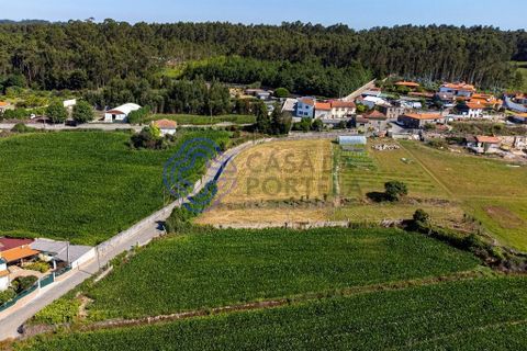 Helårsgrund i Vila do Conde, Porto, Vila do Conde - € 270.000 | Ref: 1131741 - foto 18