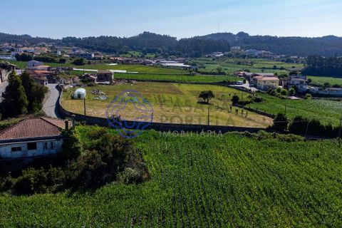Helårsgrund i Vila do Conde, Porto, Vila do Conde - € 270.000 | Ref: 1131741 - foto 19