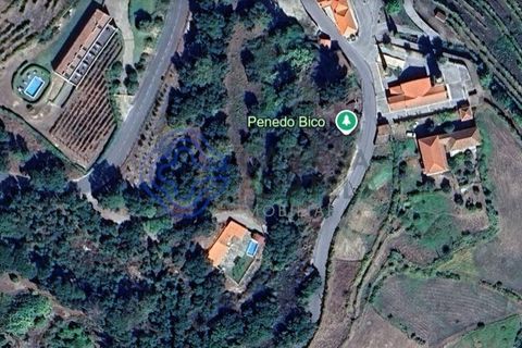 Byhus i Baiao, Porto, Baiao - € 198.000 | Ref: 1129721 - foto 13